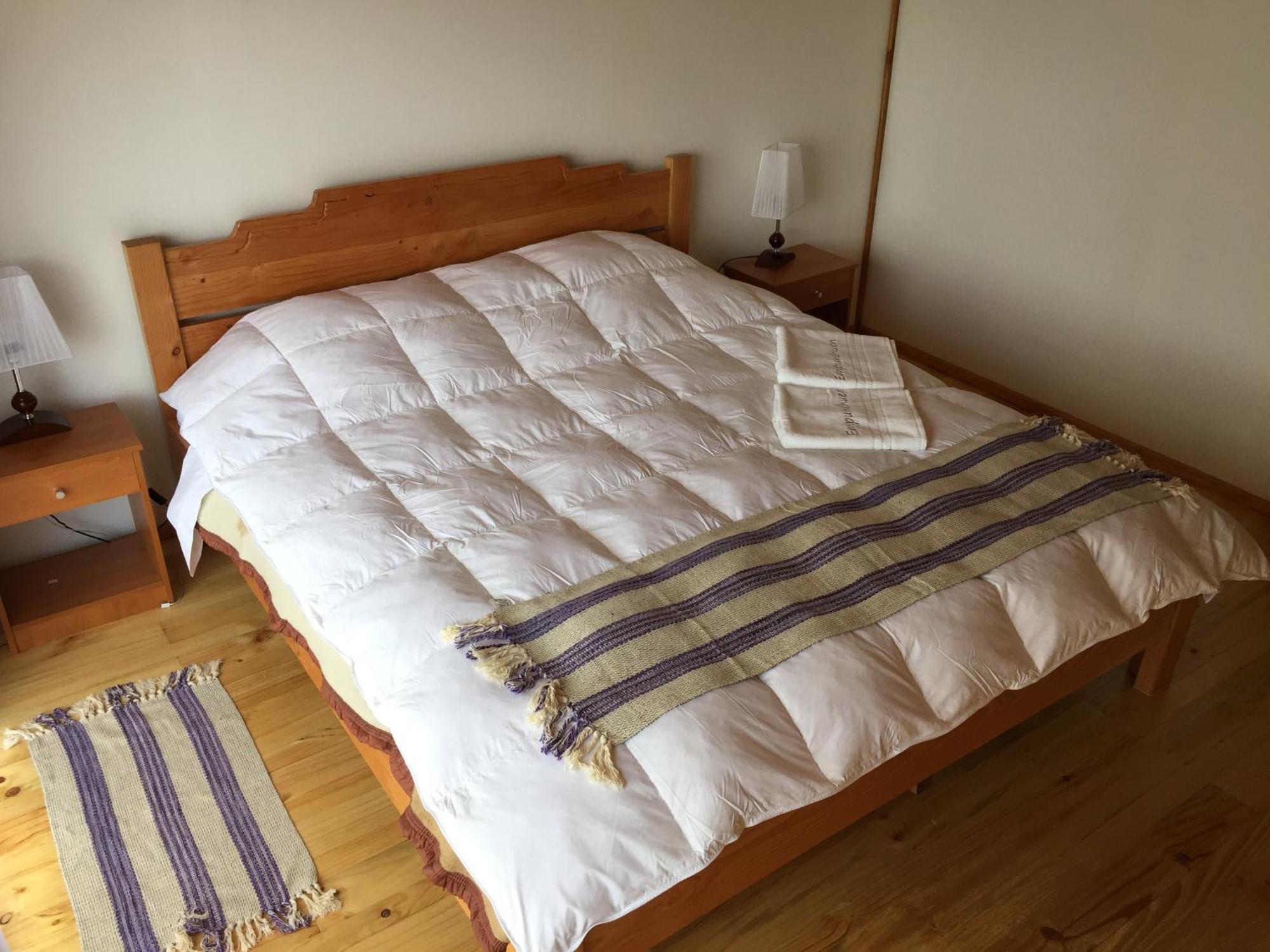 Empunehuen Apartamento Panguipulli